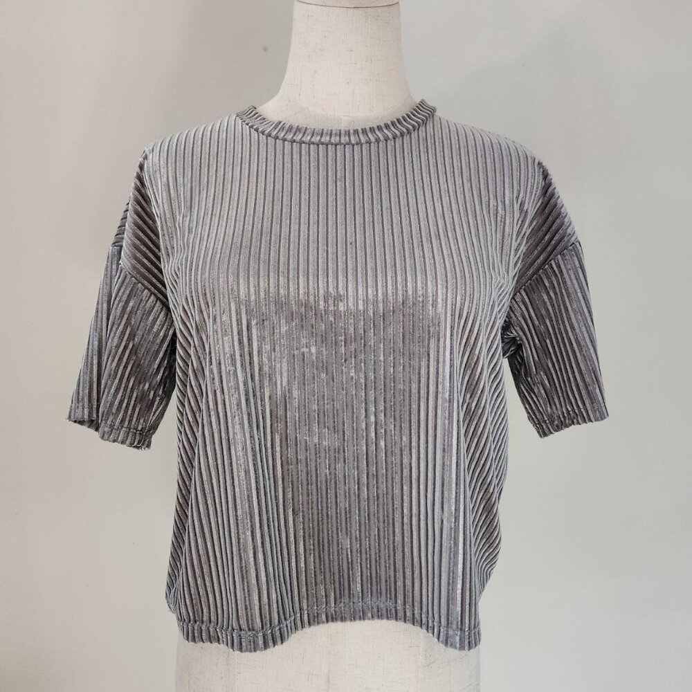 FOREVER 21 Semi-sheer Silver Velvet Short Sleeve Boxy Crop Top. SZ S.